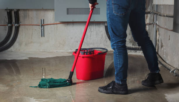 Best Flood restoration services  in Clarks Summit, PA