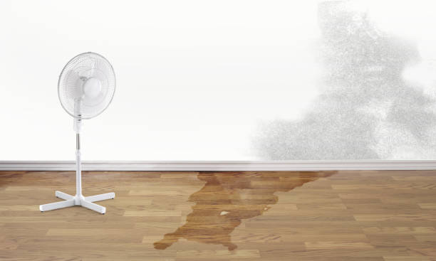 Best Water damage contractors near me  in Clarks Summit, PA
