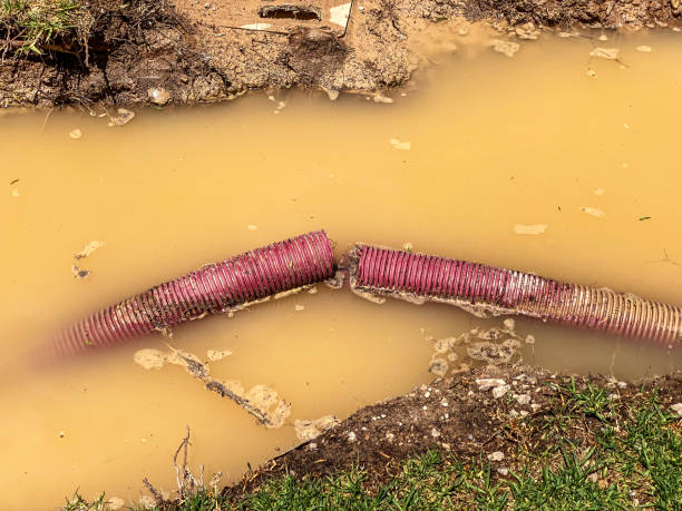 Best Water damage restoration specialists  in Clarks Summit, PA
